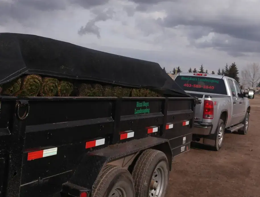 Bizzi Boyz team working on a landscaping project
