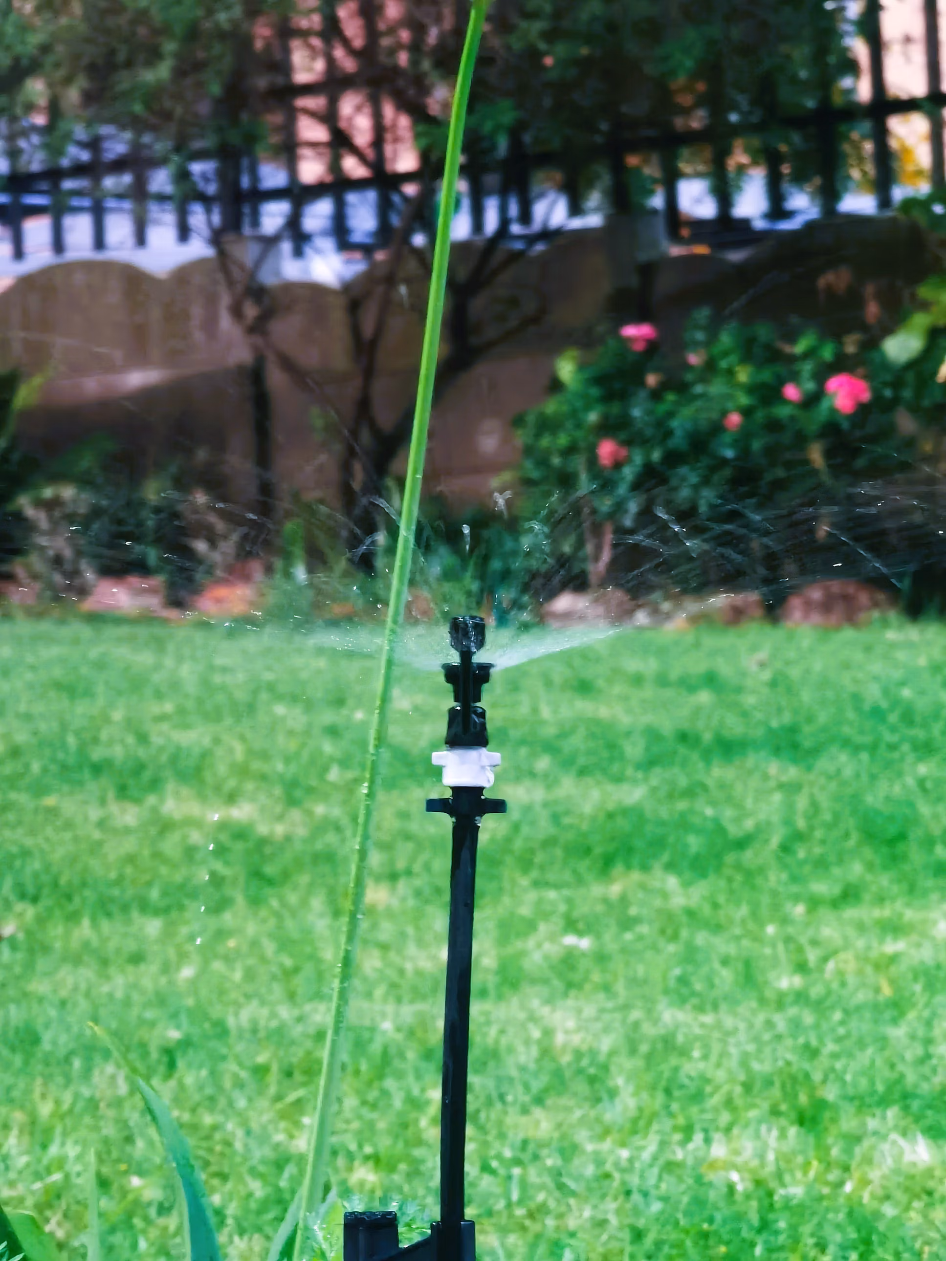 Irrigation system installed for a building