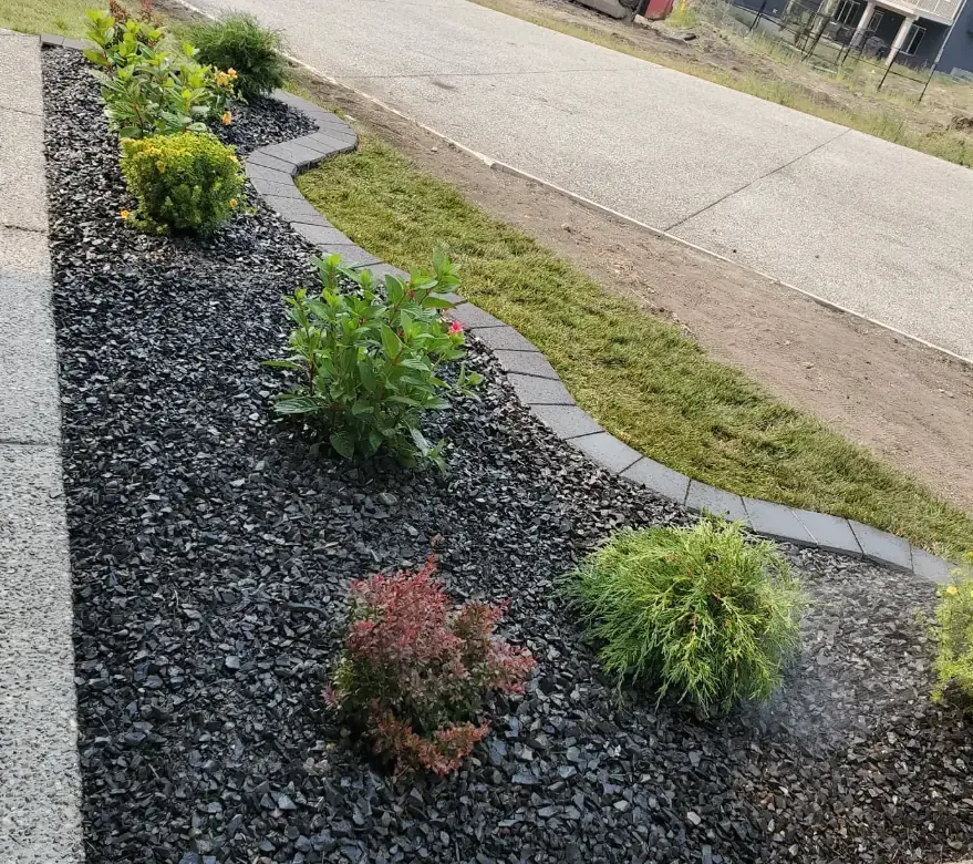 Comprehensive landscaping design incorporating mature trees and fresh plantings