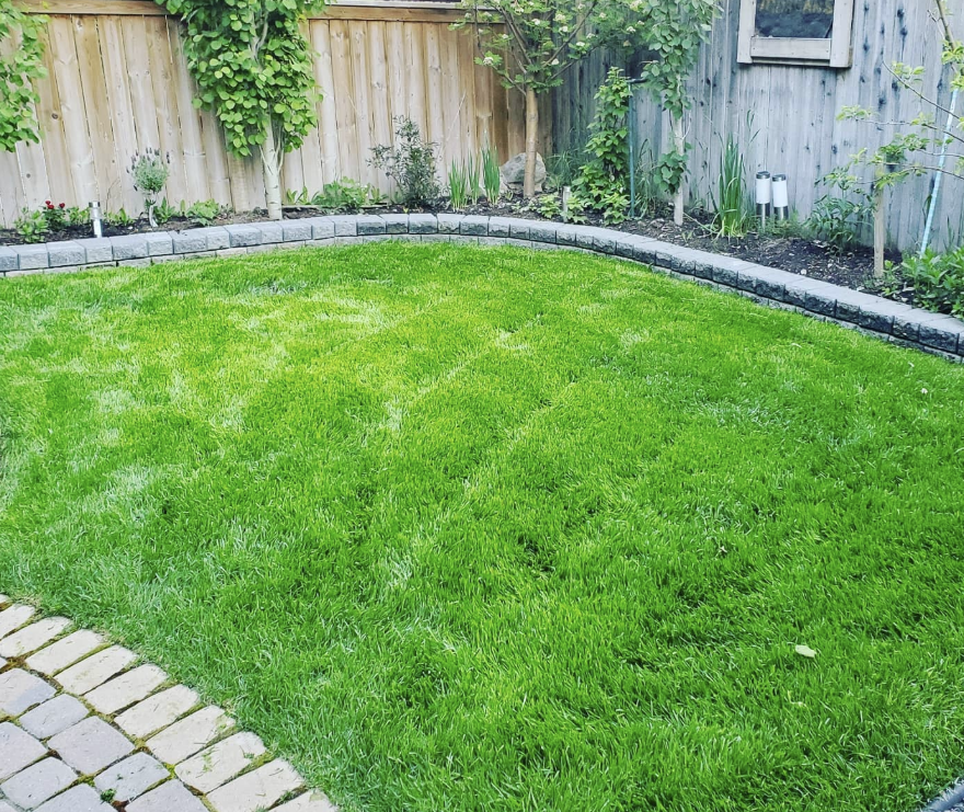 Professional landscaping work by Bizzi Boyz in Calgary