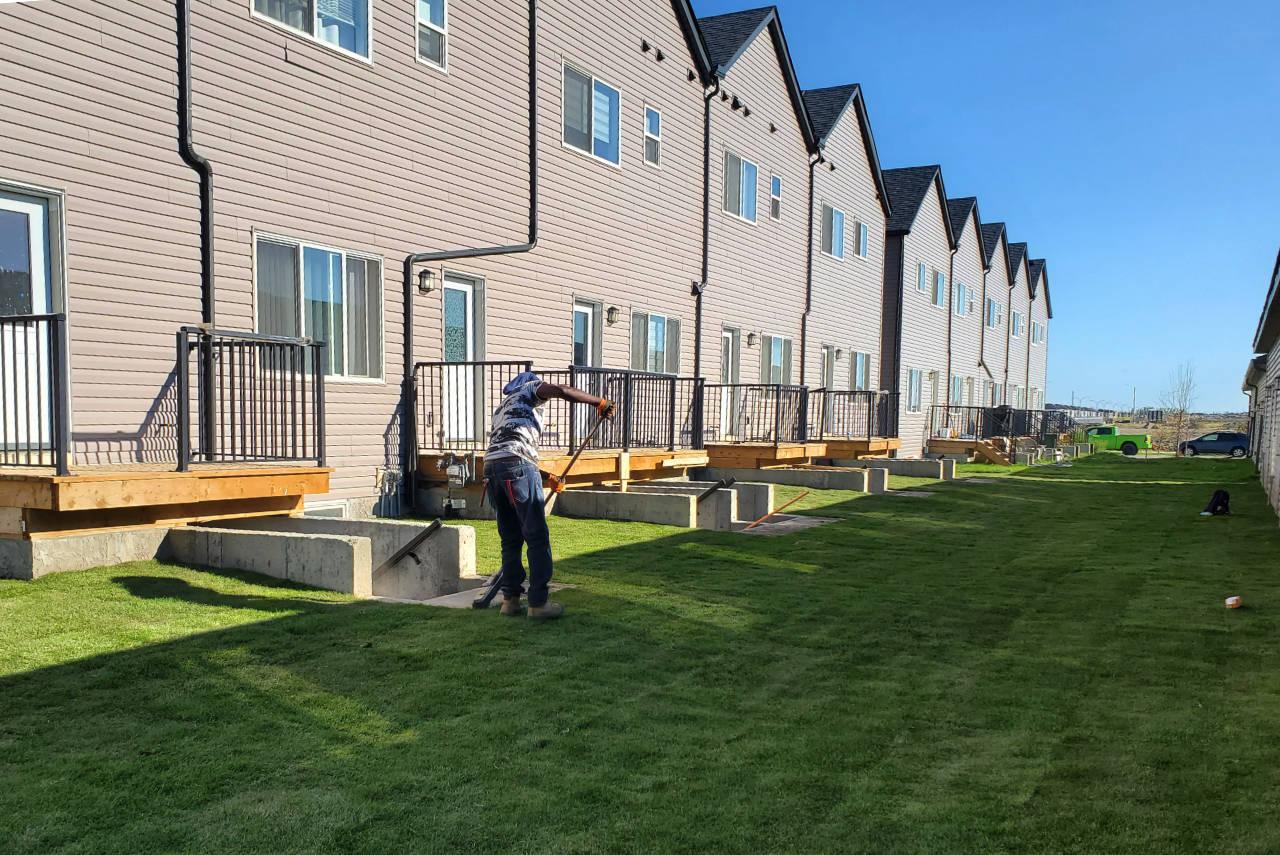 Fresh sod installation creating an instant lush green lawn