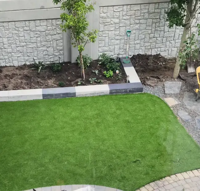 Perfect combination of new sod and strategic tree planting for shade