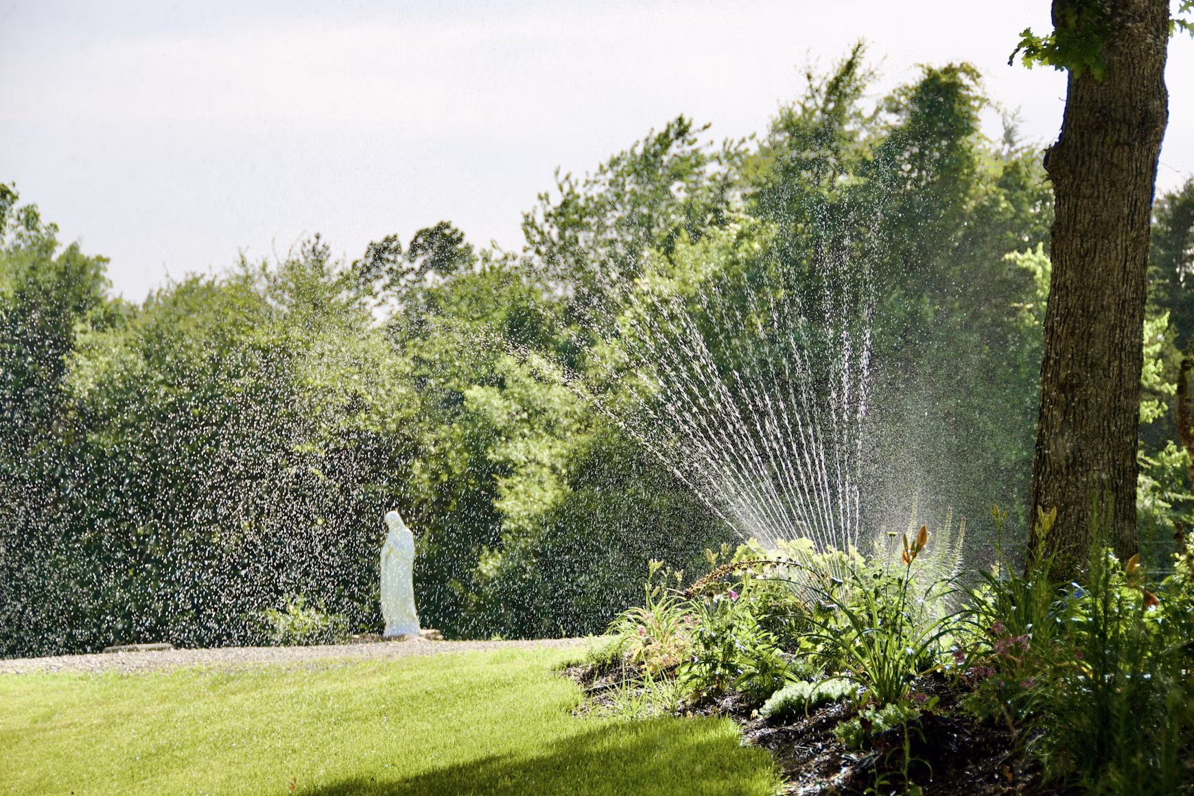 Modern sprinkler system watering a lush green lawn in Calgary